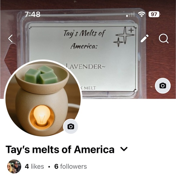 Other - Soy wax melts homemade